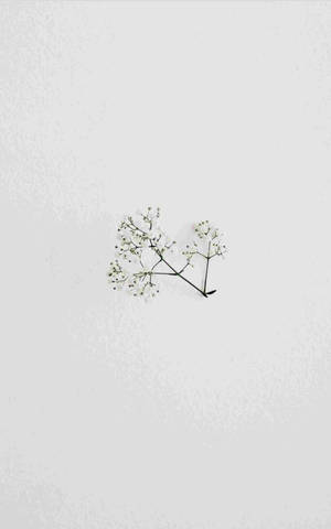 Minimalist Tablet Displaying Spring Flower Image Wallpaper