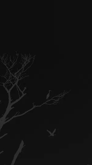 Minimalist Tree Graphic Beautiful Dark Background Wallpaper