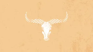 Minimalist Western Bull Aesthetic Wallpaper
