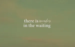 Minimalistic Apple Mac Setup Wallpaper