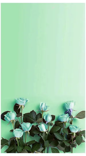 Mint Green Aesthetic Roses Wallpaper