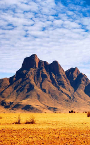 Modern African Phone Technology Wallpaper