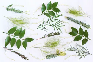 Modern Desktop Leaves Wallpaper