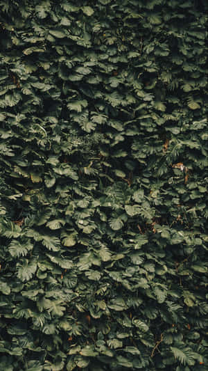 Modern Style For Slick New Look Wallpaper