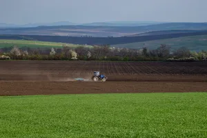 Moldova Agricultural Land Of Falesti Wallpaper