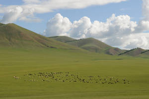 Mongolia Vast Green Land Wallpaper