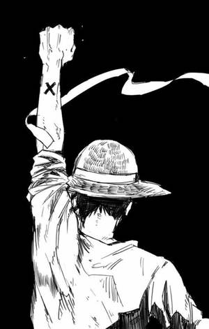 Monkey D Luffy Back Sketch Art Wallpaper