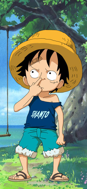 Monkey D Luffy Kid Wallpaper