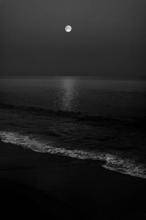 Monochromatic Beach Night Sky Wallpaper