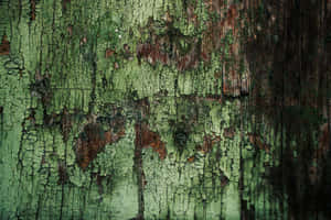 Moody Dark Green Grunge Texture Wallpaper