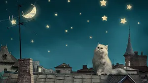 Moon And Stars Roof Cat Wallpaper