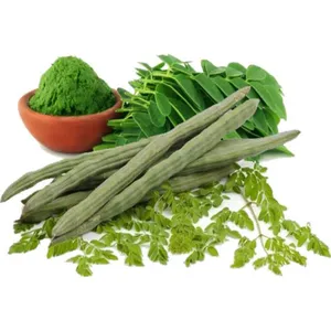 Moringa Plant From Seed To Powder Wallpaper