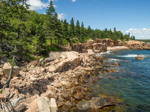 Morning At Acadia National Park Wallpaper