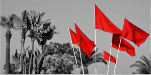 Morocco National Flag Wallpaper