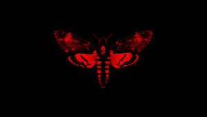 Moth Black And Red Artwork Wallpaper