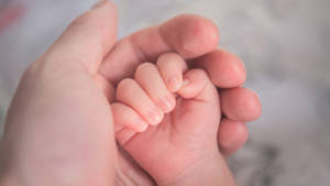 Mother And Baby's Hand Wallpaper