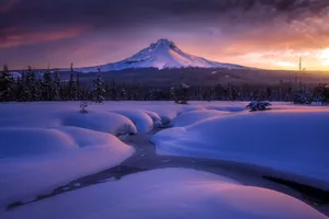 Mount Hood Snow Mountain Wallpaper
