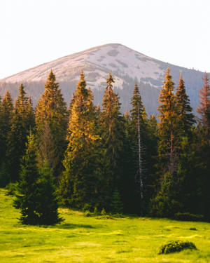 Mountain Backdrop In Green Minimalist Setting Wallpaper