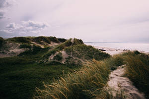 Mountain Covered By Grass Beside The Seashore Wallpaper