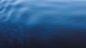 Moving Sea Calms Wallpaper