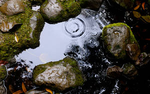 Moving Water On Slick Rocks Wallpaper