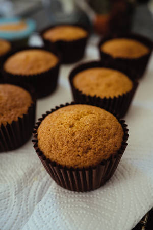 Muffin On Tissue Paper Wallpaper