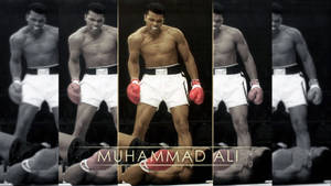 Muhammad Ali Victorious After First Minute Knockout Wallpaper