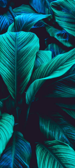 Multicolor Green Leaf Wallpaper