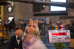 Muppets Most Wanted On The Set Wallpaper