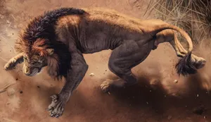 Muscular Lion Desktop Wallpaper