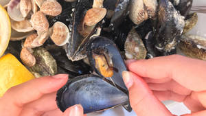 Mussel With Bright Orange Meat Wallpaper