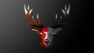 Mysterious Half-colored Deer Head Art Wallpaper