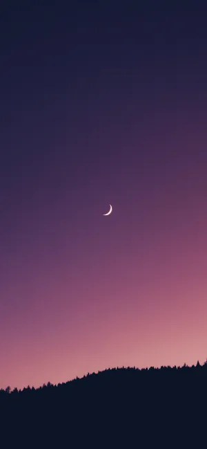 Mysterious Moonlight On A Beautiful Night Wallpaper