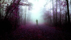 Mystery Purple Forest Aesthetic Digital Art Wallpaper