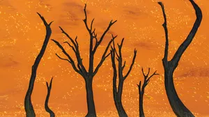 Namibia Camel Thorn Tree Wallpaper