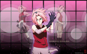 Naruto Anime Fierce Sakura Haruno Wallpaper