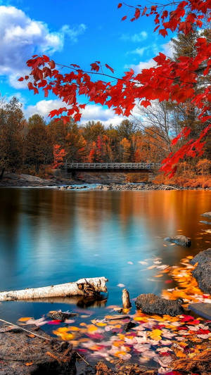 Nature Phone Bridge Autumn Wallpaper