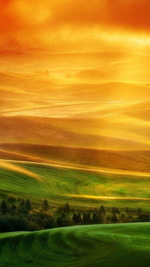 Nature Phone Desert And Grassland Wallpaper