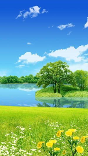 Nature Phone Pond Island Wallpaper