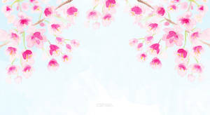 Nature's Bliss - Cherry Blossoms In Watercolor Wallpaper