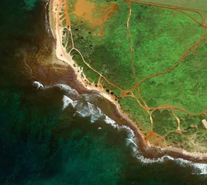 Nature's Serene Landscape Wallpaper