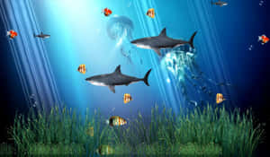 Navigating An Oasis Underwater Wallpaper