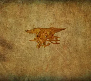 Navy Seals Training For Combat Games Wallpaper