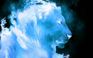 Negative Fire Lion Photo Wallpaper