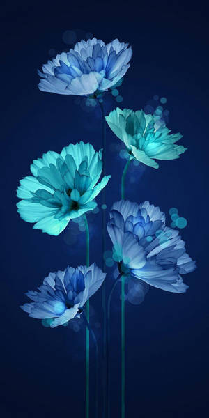 Neon Blue Flowers New Phone Wallpaper
