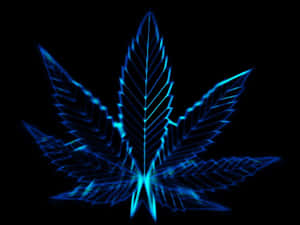 Neon Blue Marijuana Leaf Wallpaper
