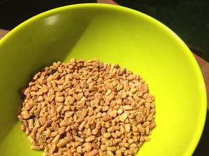 Neon Green Bowl Of Fenugreek Seeds Wallpaper