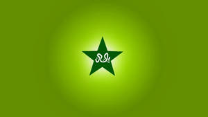 Neon Green Pakistan Cricket Logo Wallpaper