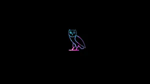 Neon O V O Owl Logo Wallpaper