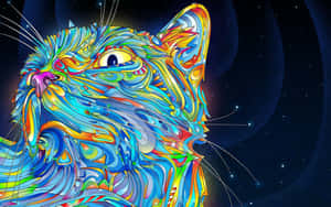 Never Stop Exploring Wallpaper